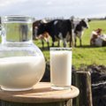Bus pradėta dalinti parama pieno gamintojams