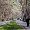 Ekonomistas išanalizavo, kaip karantino laikosi Baltijos šalys: Lietuva išsiskiria