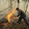 ФОТО: дым от неконтролируемых лесных пожаров в Сибири виден из космоса