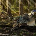 2015-aisis atrastos dinozaurų rūšys: įspūdingiausi tyrinėtojų „trofėjai“
