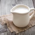 Žaliavinis pienas Lietuvoje toliau brangsta