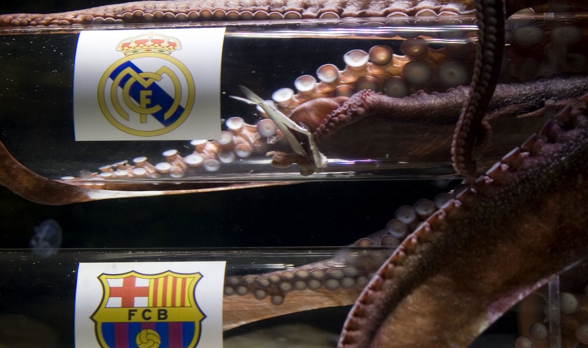 Aštuonkojis Ikeras spėja "Real" ir "Barcelona" mačo nugalėtoją