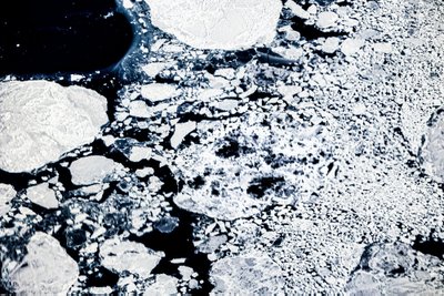 Tirpstantis ledas Arktyje. Scanpix/Leon Kuegeler/photothek.de/