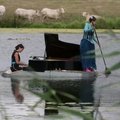 Neįprastuose fortepijono koncertuose Prancūzijoje sceną atstoja ežero paviršius