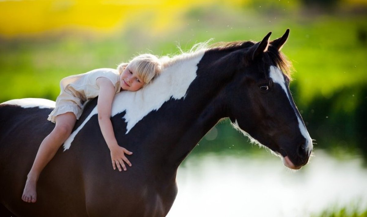 Sėkmingi medinio arklio metai bus tiems, kas myli žirgus