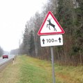 Lietuvos keliai, į kuriuos dažniausiai išbėga gyvūnai