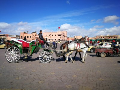 Marokas, Marakešas