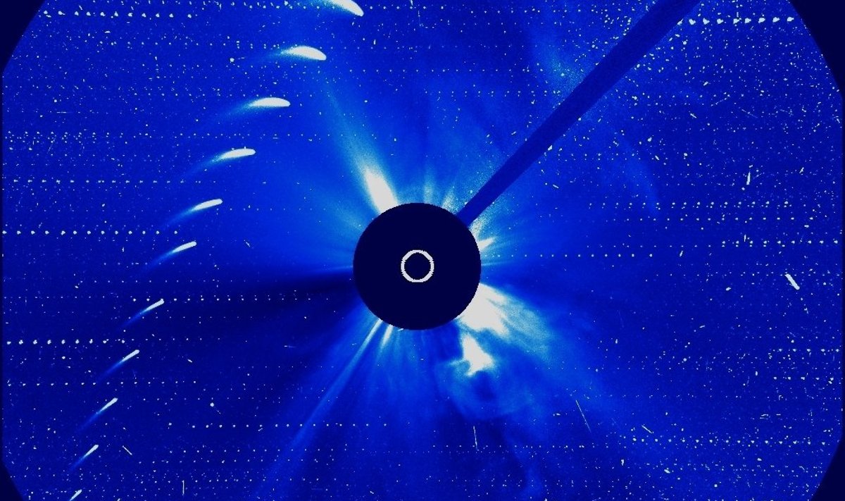 Kometos 96P/Machholz padėtis  kas 6 valandas sausio 29 - vasario 1 dienomis. SOHO/ESA/ NASA/M. Macijausko nuotr.