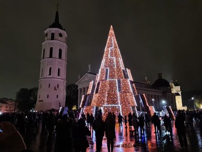 Įžiebta Vilniaus Kalėdų eglė
