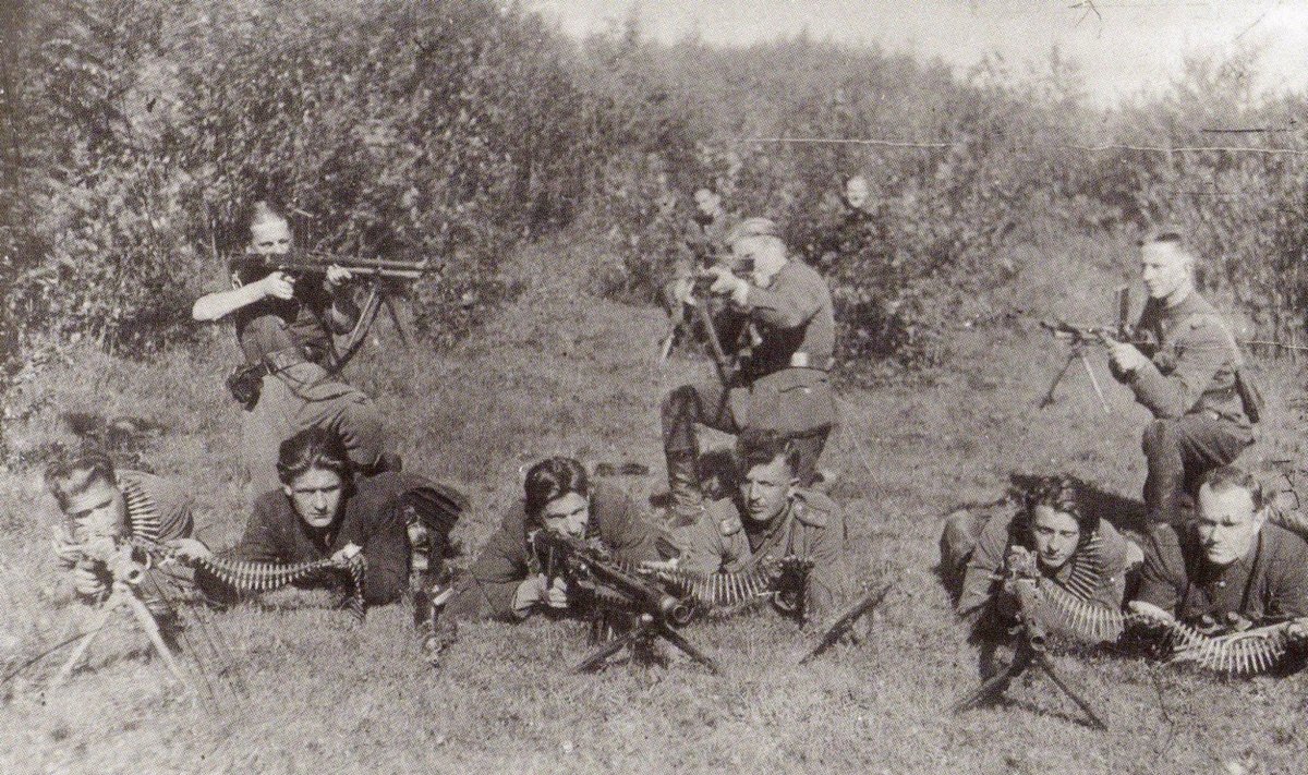 Vytauto apygardos partizanai, ginkluoti įvairių modelių kulkosvaidžiais. (Už laisvę ir tėvynę. Vilnius: LGGRTC, 2007)