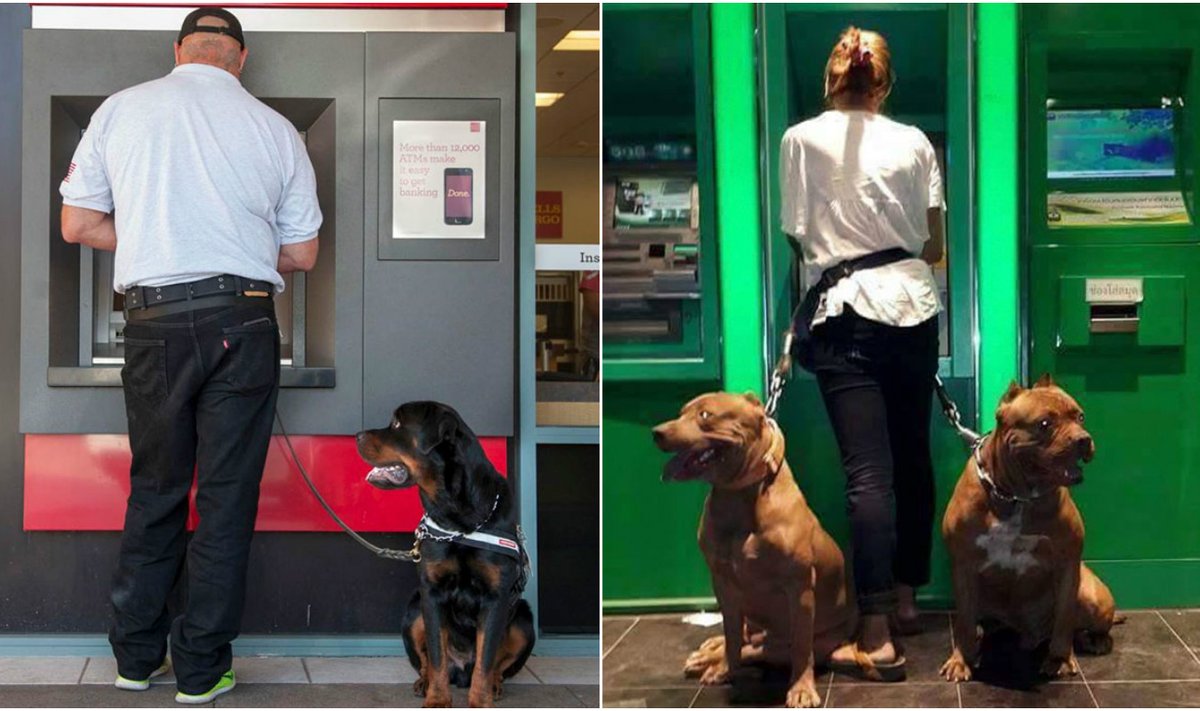 Prie bankomatų žmones lydi šunys