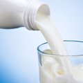 Pieno supirkimo kainos viršijo Europos vidurkį