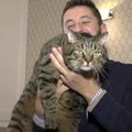 Slapta įsinešęs savo katiną į lėktuvo saloną rusas tapo socialinių tinklų žvaigžde