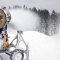 Любители зимнего спорта могут отметить Новый год на лыжах