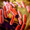 Antibiotikų apokalipsė: iki 2050 m. kas tris sekundes žus po žmogų