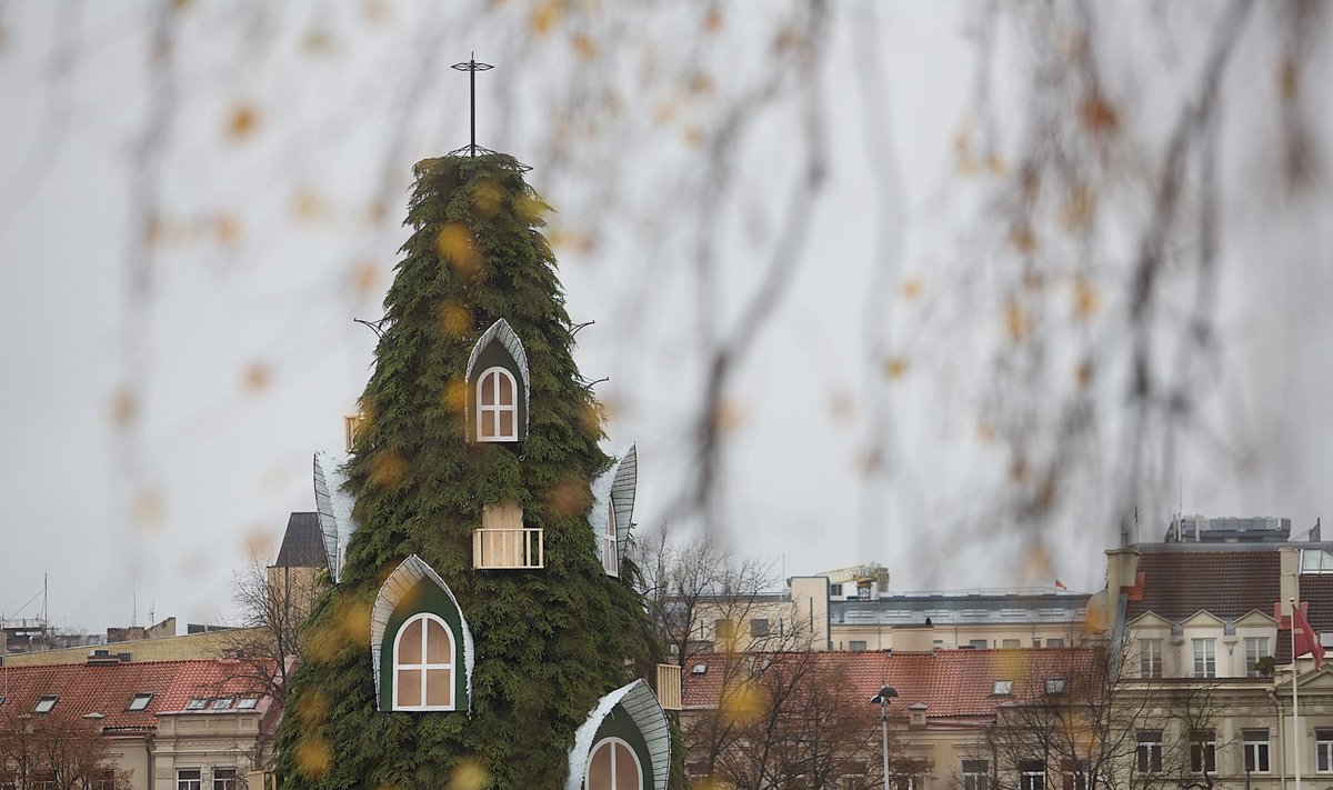 Kalėdų eglutė Vilniaus Katedros aikštėje