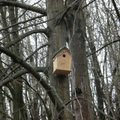 Vilniaus pilių rezervate paukščių laukia nauji inkilai