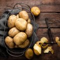 Lietuviška bulvė bulvei nelygu – yra saugančių sveikatą, ir figūrą