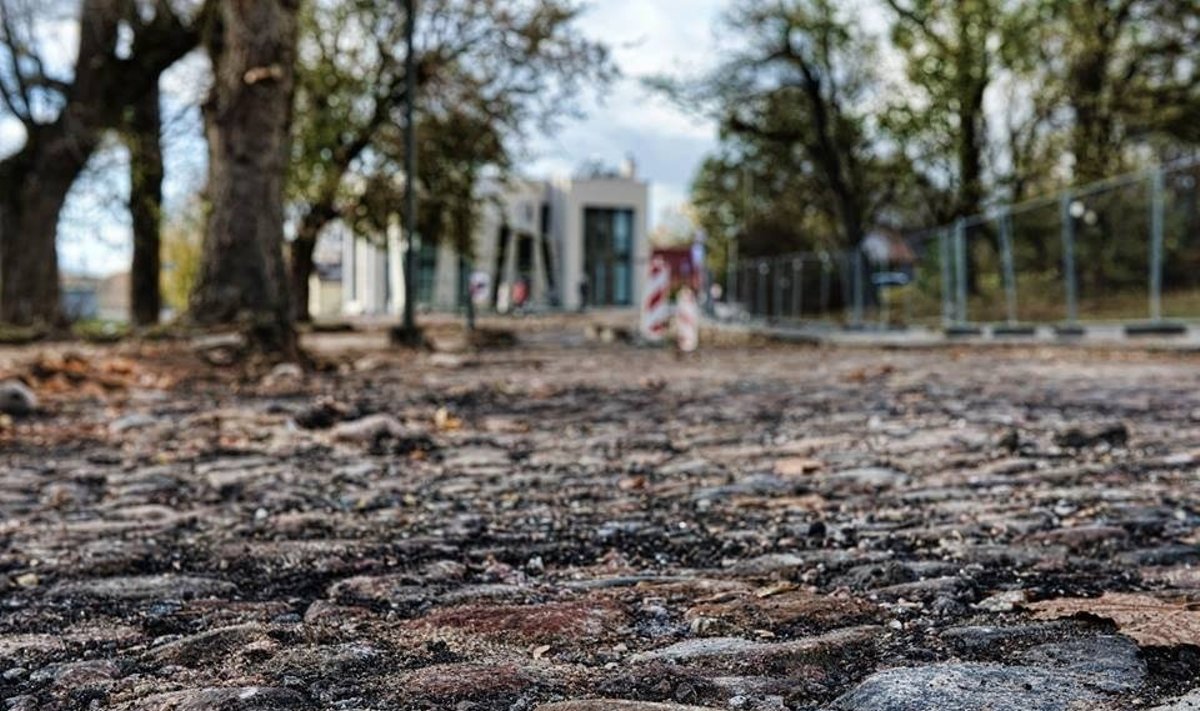 Senovinis grindinys Panevėžyje // Gedimino Balčiūno nuotr.