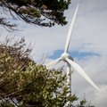 Estija blokuoja 1,9 mlrd. dolerių vėjo jėgainių parką saugumo sumetimais
