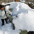 JAV rytų pakrantėje po galingos pūgos tenka valyti daugybę sniego