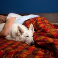 Vyrą pražudė mylimo šuns lyžtelėjimas: mirtinos infekcijos pradžia priminė gripo simptomus