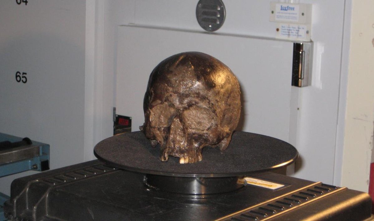 2600 metų senumo kaukolėje rado smegenų dalį. Scanpix/ Axel Petzold nuotr.