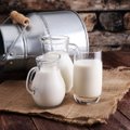 Sumažėjo pieno supirkimo kaina
