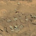 „Curiosity“ Marse nufotografavo į žmogaus šlaunikaulį panašų objektą