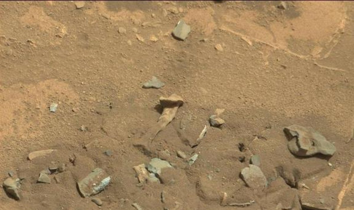 Marso "šlaunikaulis"