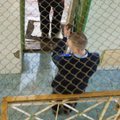 Kalėjimas iš vidaus: kai valdo „verchatūra“, vadovybei dirbti nereikia