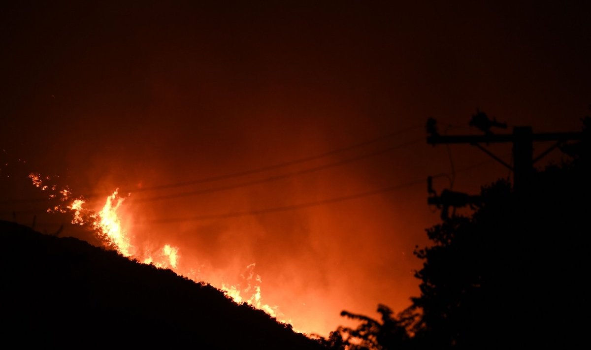 Los Andželo apylinkėse įsiplieskus dideliam gaisrui gyventojams nurodyta evakuotis