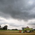 Wet weather hampers harvesting of cereal crops in Lithuania