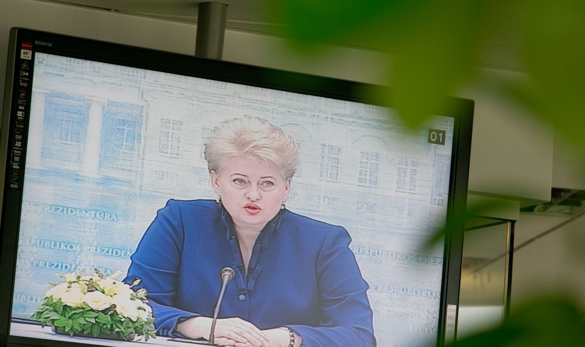 Dalios Grybauskaitės metinė ataskaitinė spaudos konferencija