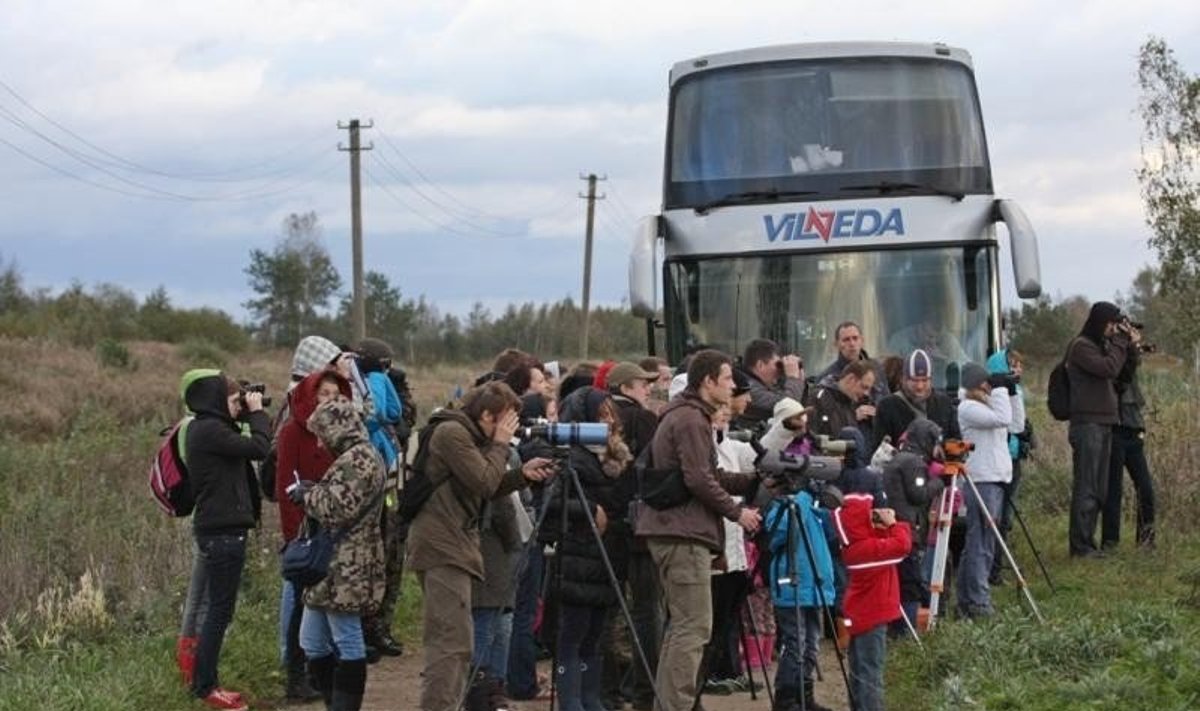 Išskrendančių paukščių stebėjimas