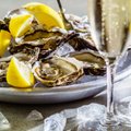 Oyster Festival is taking place in major Lithuania’s cities