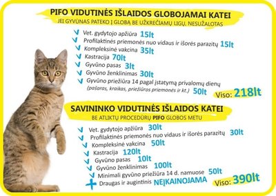 Išlaidos, reikalingos katės paruošimui naujiems šeimininkams (Organizacijos „Pifas“ inf.)