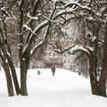 За сутки в Литве спасатели 108 раз отправлялись убирать поваленные снегом деревья