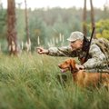 Seimo narys siūlo uždrausti medžioklę su šunimis naktį, nebent ieškoma sužeisto gyvūno