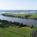 Mokslininkai įvardijo, kurioms žuvims Lietuvoje gresia išnykimas