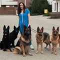 Neįtikėtina pažintis su trijų vaikų mama Živile, kurios namuose – net 23 šunys