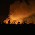 Ispanijoje įsišėlo pirmasis šiais metais didelis miško gaisras, evakuojami žmonės
