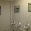 Rusijos viešajame tualete įsikūrė meno galerija