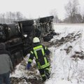 Klaipėdos r. posūkyje apvirto 24 tonas išrūgų kiaulėms vežęs pienovežis