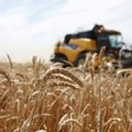 Ukraina skelbia apie rekordinį grūdų derlių