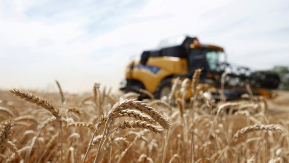 Ukraina skelbia apie rekordinį grūdų derlių