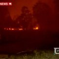Australijos krūmynuose toliau siautėja padegėjai