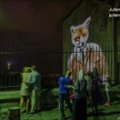 Paryžiuje ant pastatų sienų - pusiau žmonių, pusiau gyvūnų vaizdo projekcijos