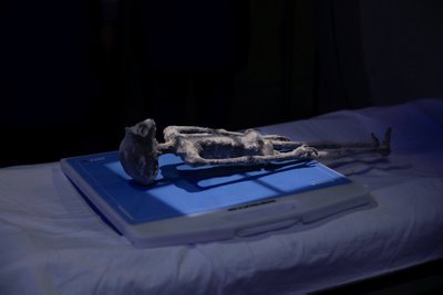 Meksikoje vykdomi tariamai nežemiškos kilmės mumijų tyrimai.