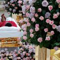 Vyksta iškilminga „soul karalienės“ Arethos Franklin laidotuvių ceremonija
